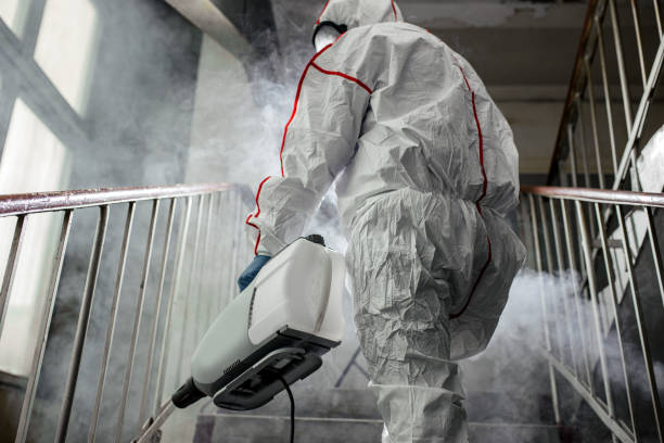 Best Mold Prevention Services  in Hayesville, OR